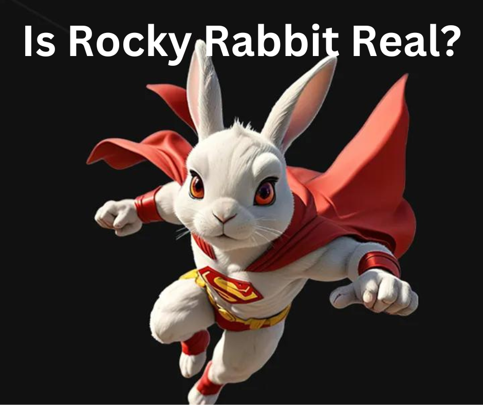 Is Rocky Rabbit Real